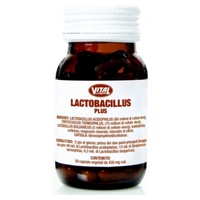 Lactobacillus Plus