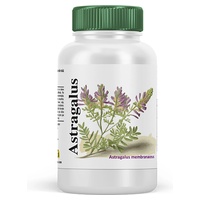 extrakt av astragalusrot