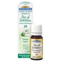 Star of Bethlehem Organic Granulat