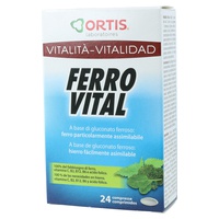 Järn Vital