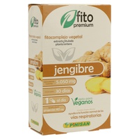 Phyto Premium Ginger