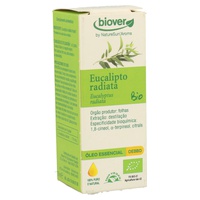Eukalyptus Globulus Bio ätherisches Öl