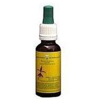 Extracto Harpagofito 50 ml Naturlife de Espadiet | Natural Doctor