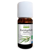 Óleo essencial Euca Globulus