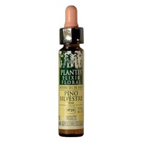 Pino Silvestre N° 24 Eco (Sin Alcohol) 10 ml de elixir floral - Plantis | Natural Doctor