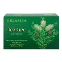 Tea Tree