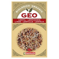 Sementes de Lentilhas Bio 90 g - Geo