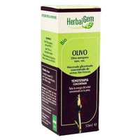 Olivo Macerado Glicerinado 50 ml - Herbalgem | Natural Doctor