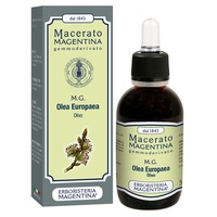 Olea Europaea olivo 1 L - Erboristeria Magentina | Natural Doctor