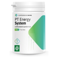 Pt energy system imunitní systém