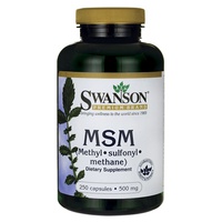 Msm methylsulfonylmethan 500 mg