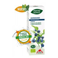 Phytobiopole Arándano (Antihemorrágico Antiséptico Urinario) 50 ml - Intersa | Natural Doctor