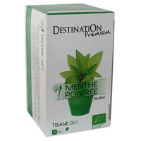 Infusión de menta 20 bolsitas infusoras de 1.5g - Destination Bio | Natural Doctor