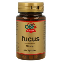 Fucus