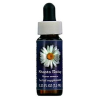 Shasta Daisy 7,5 ml de óleo essencial - Flower Essence