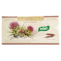 Viales Silybum marianum Esp 12 ampollas - Santiveri | Natural Doctor