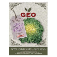 Chicória para Semear 6 g - Geo