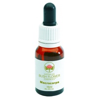 Macrocarpa Bush 15 ml de elixir floral - Australian Bush Flower Essences