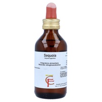 Sequoia 100 ml - Centofiori | Natural Doctor