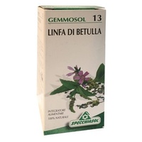 Gemmosol 13 Savia de abedul 50 ml - Specchiasol | Natural Doctor