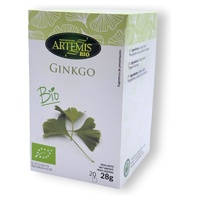 Ekologisk ginkgo biloba-infusionsdryck