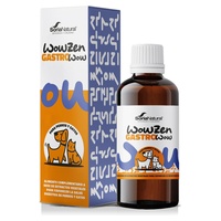 Gastrowow cães e gatos saúde digestiva