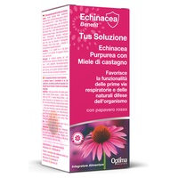 Tvůj řešení s echinaceou