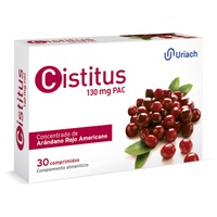 Cistitus
