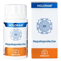 Holoram leverbeskyddare