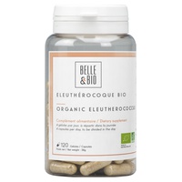 Organischer Eleutherococcus