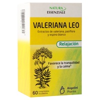 Valeriana Leo Angelini