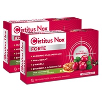 Cistitus nox forte