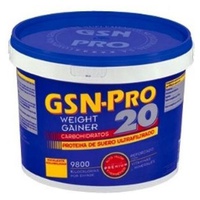 GSN-Pro 20 (Sabor Vainilla) 2500 g - GSN | Natural Doctor