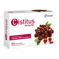 Cistitus