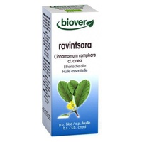 Ravintsara ätherisches Öl