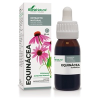 Přírodní extrakt z echinacey formula xxi