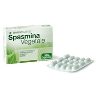 Gemüsespasmina