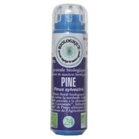 Pino Sylvestre / Pino 130 gránulos 130 gránulos - Kosmeo | Natural Doctor