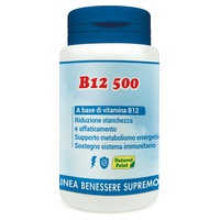 B12 500