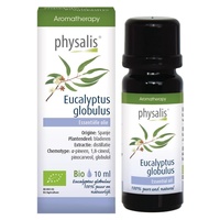 Eucalyptus globulus
