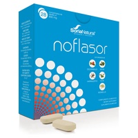 Noflasor