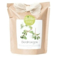 Purslane-Crescer Bolsa 300 g - Life in a bag