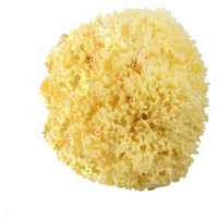 The Dida Esponja Natural Grande Respingo 10 A 12Cm 20 Gr