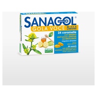 Sanagol -Garganta voz sabor a mel e limão 24 rebucados (Limão - Mel) - Phyto Garda