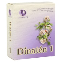 Dynaten 1