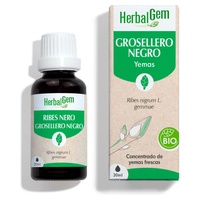 Gotas de groselha orgânica 30 ml - Herbalgem