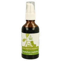 Aceite Vegetal Tamanu 50 ml de aceite - Saint Hilaire - Helpac | Natural Doctor