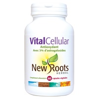 Vital sejtes