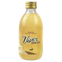 Víver Kombucha Original com Gengibre e Cúrcuma 500 ml - Víver Kombucha