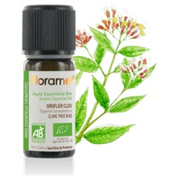 Clove Clove essential oil